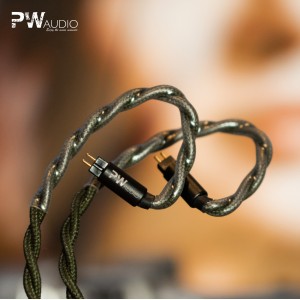 PW Audio New Flagship - Meet Agains
