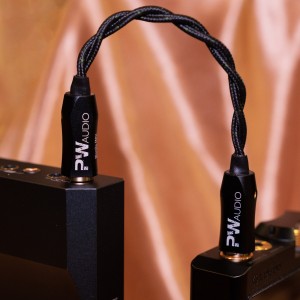 PW Audio NewAge Series Monile MK2 屏蔽對錄線