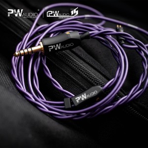 PW Audio Anniversary Series - No.15