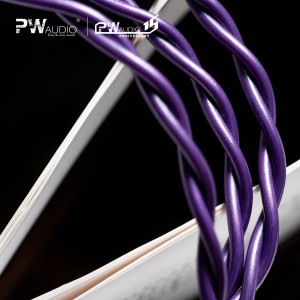 PW Audio Anniversary Series - No.15