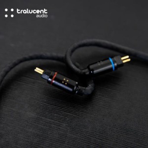 传神 Tralucent Audio 1+1.2 一圈一铁公模耳机 (黑)
