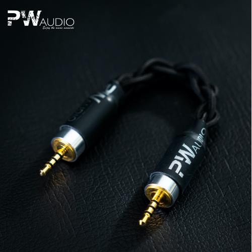 PW Audio Century Series - The 1960s | 4wired | Jumper / Adapter