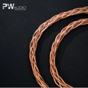PW Audio 紀念版 - No.5 8絞 對錄線 / 轉接線