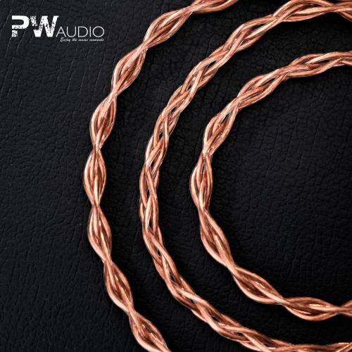 PW Audio Anniversary Series - No.5
